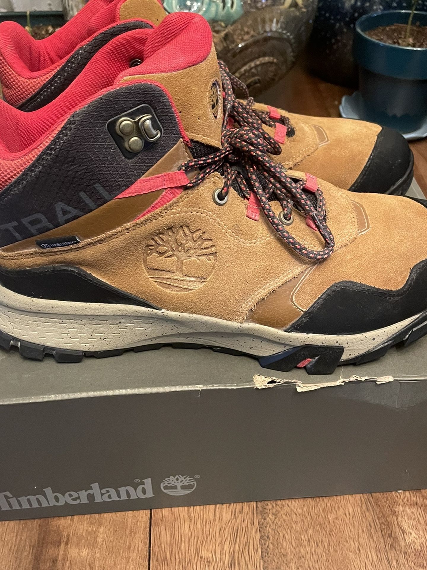 Timberlands Hikers