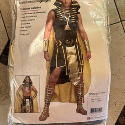King Of Egypt Costume