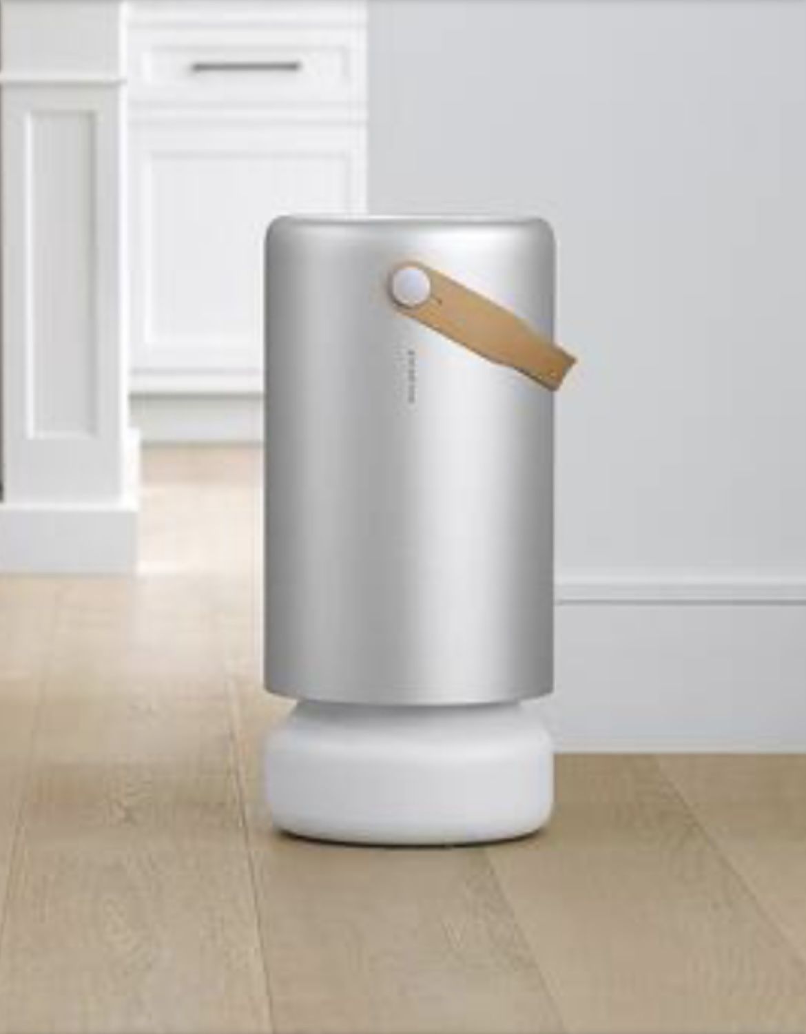 Molekule Air Pro Purifier