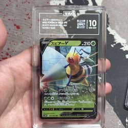 Graded Pokemon Slabs