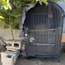 Heavy Duty Bird Cage