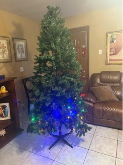 Christmas Tree 🎄
