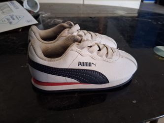 Baby pumas