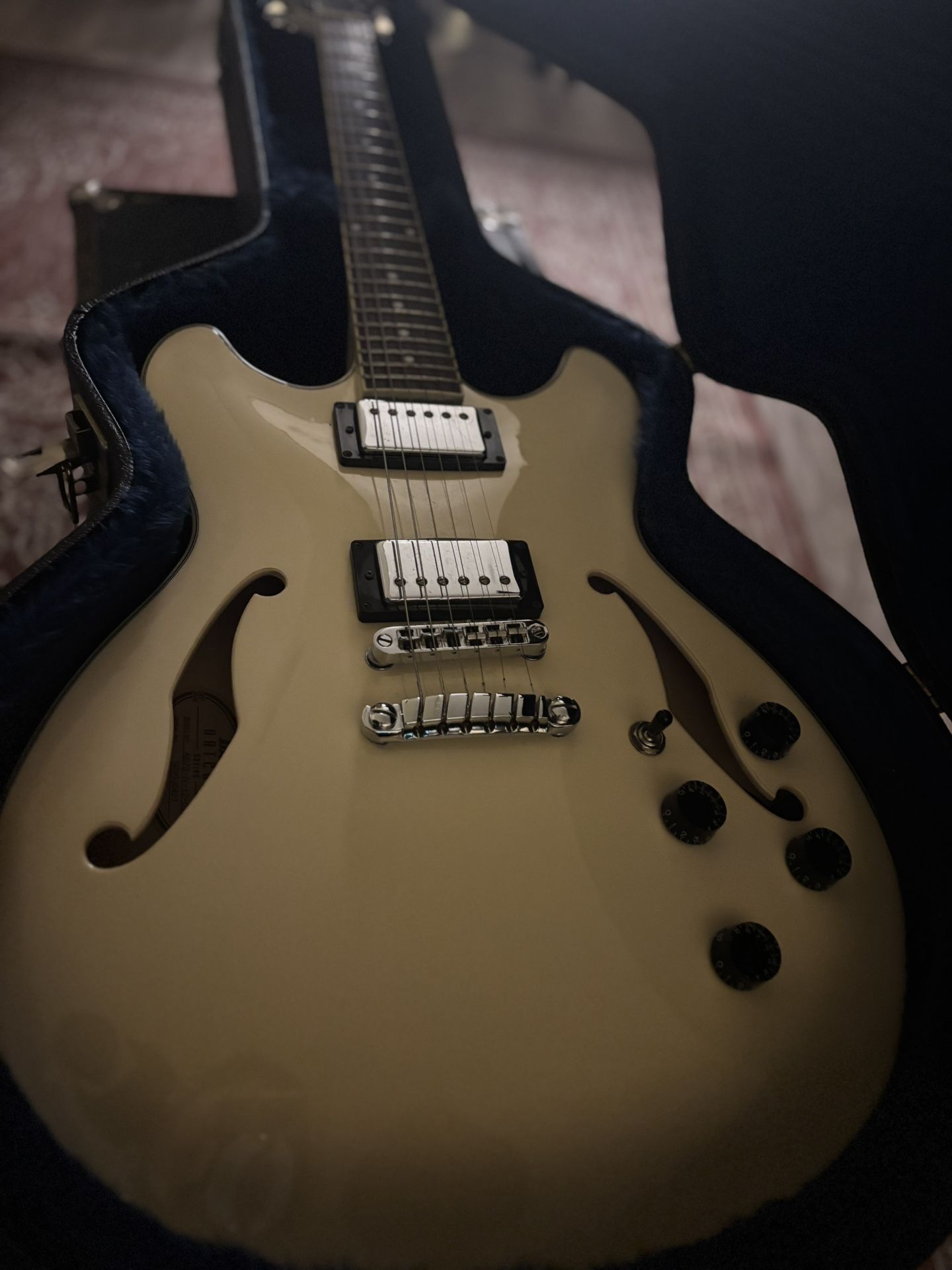 Ibanez Artcore With Case
