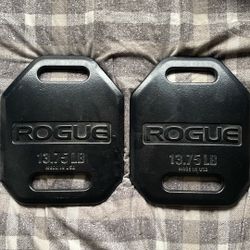 Rogue Cast Echo Vest Weight Plates 