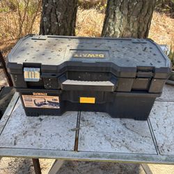 DeWalt 2-1 toolbox