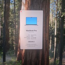 2021 MacBook Pro M1 Pro Chip (MK183LL/A)