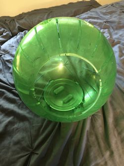 Large animal ball