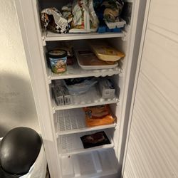 Upright Freezer 