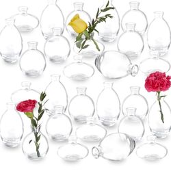 Clear Bud Vases (28 Pack)