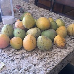 Fresh Mangos