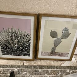 Project 62 Cactus Wall Art