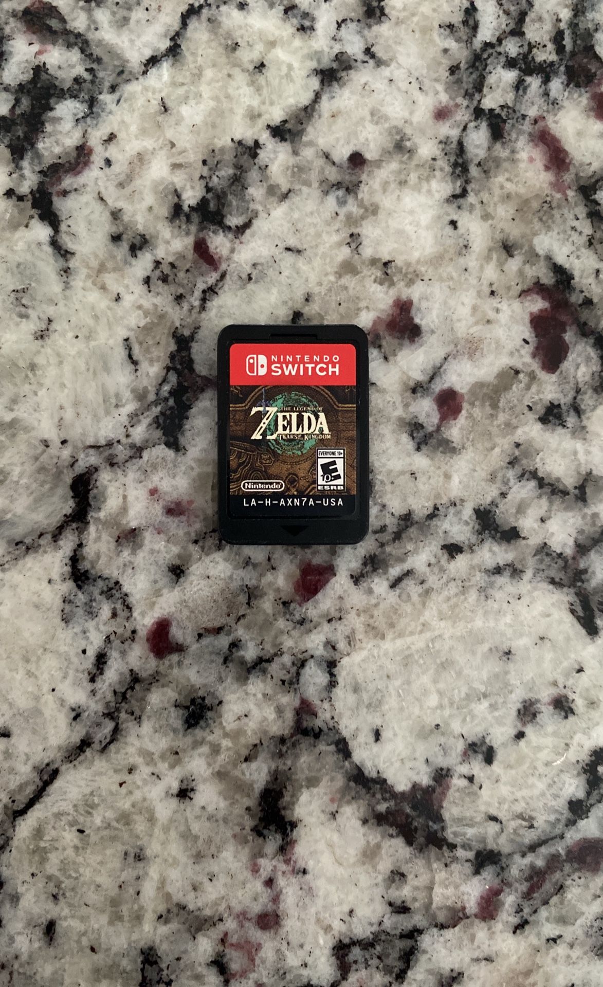 Zelda – Tears Of The Kingdom With Controller