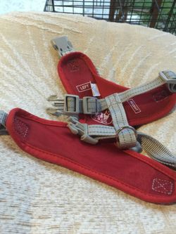 New harness for a small dog