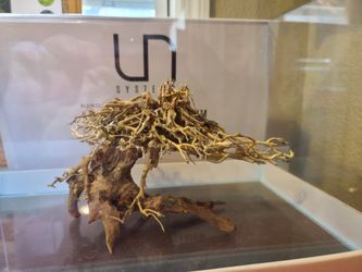 Bonsai & Driftwood For aquariums