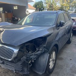 Kia Sorento 2016 Pets