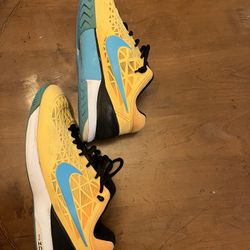 Nike Zoom Cage 2