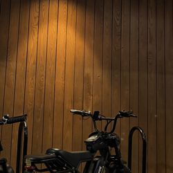 2 Seater Voltvogue E Bike