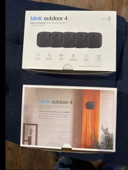BLink cameras