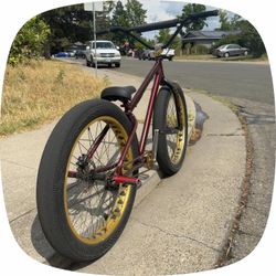 Fat ripper 2018 rare bike