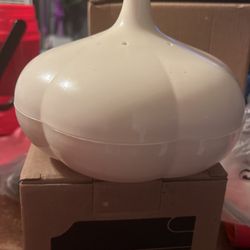 Garlic Storage Container