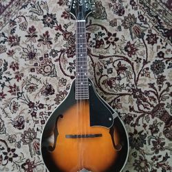 Bluegrass Mandolin, Beautiful Vintage Sunburst Finish 