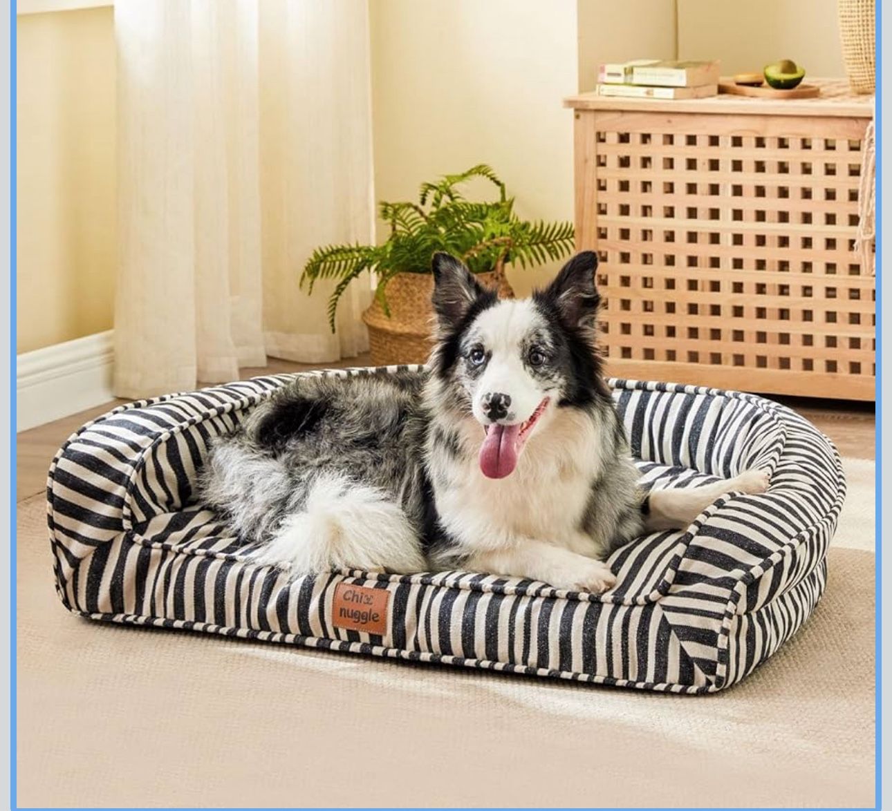 DOG  BED FOR MEDIUM DOGS