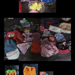 Sz Small Dog Lot
