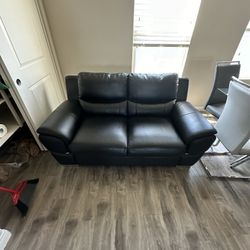 Couch/Loveseat