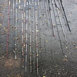 Fishing Poles 