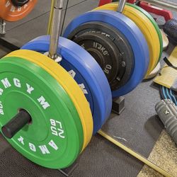 Amgym Bumper Plates