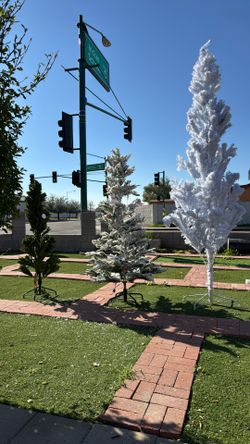 Christmas Tree New Diff Prices 