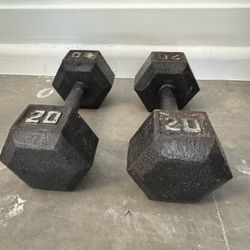 20lb Dumbbell Weights  for Exercise