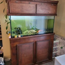 90 Gallon Fish Tank