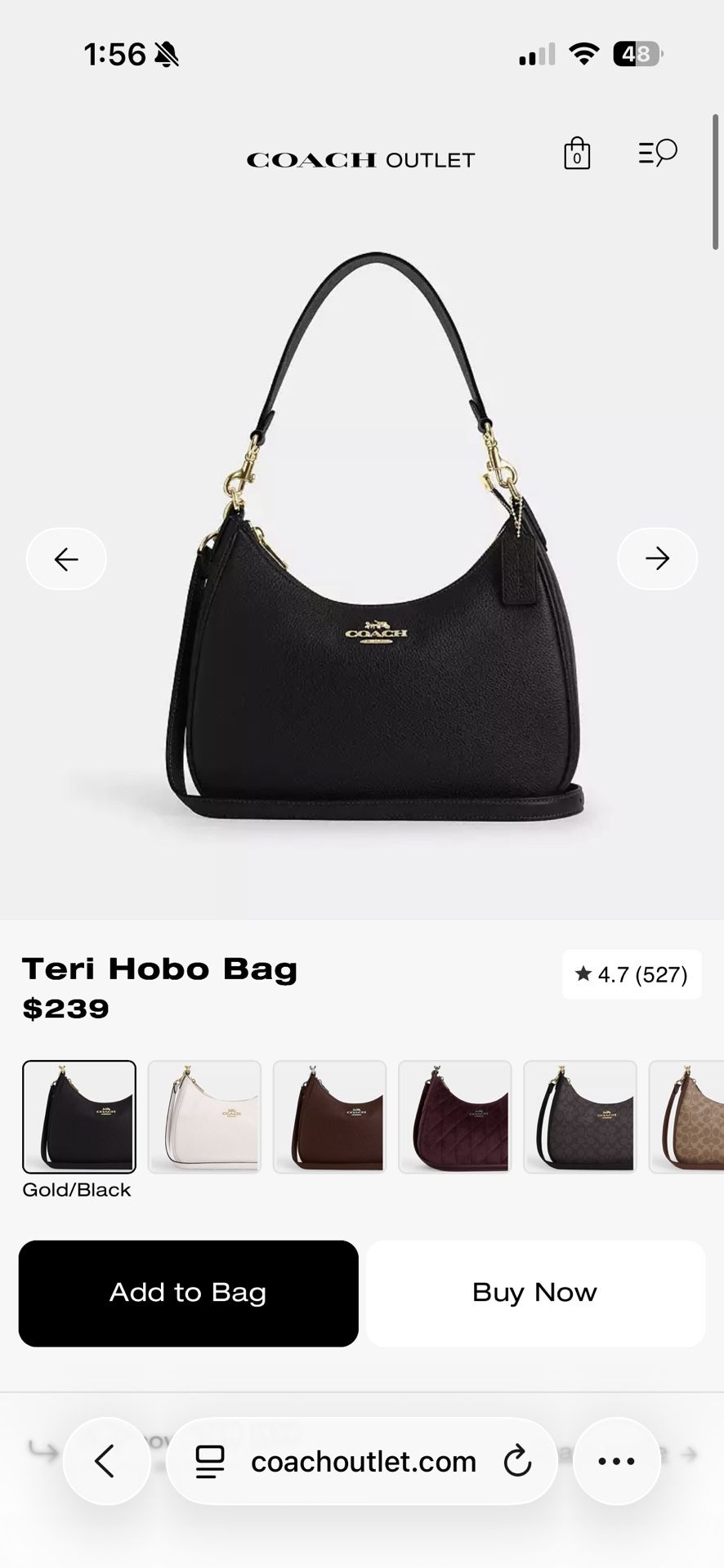 Terri Hobo Coach Bag