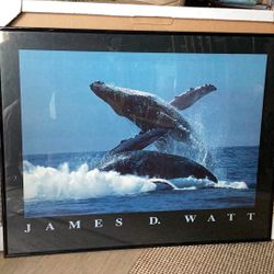 Whales Jumping- 28” X 22” - New With Box - Framed Print By Renowned Photographer James D. Watt