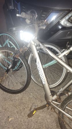 Mongoose