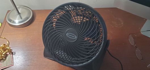 Personal Fan (2)
