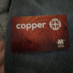 Metro Valley Bus pass