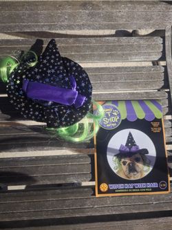 Small Dog Witch Hat