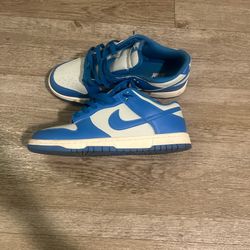 Nike Dunks Low 