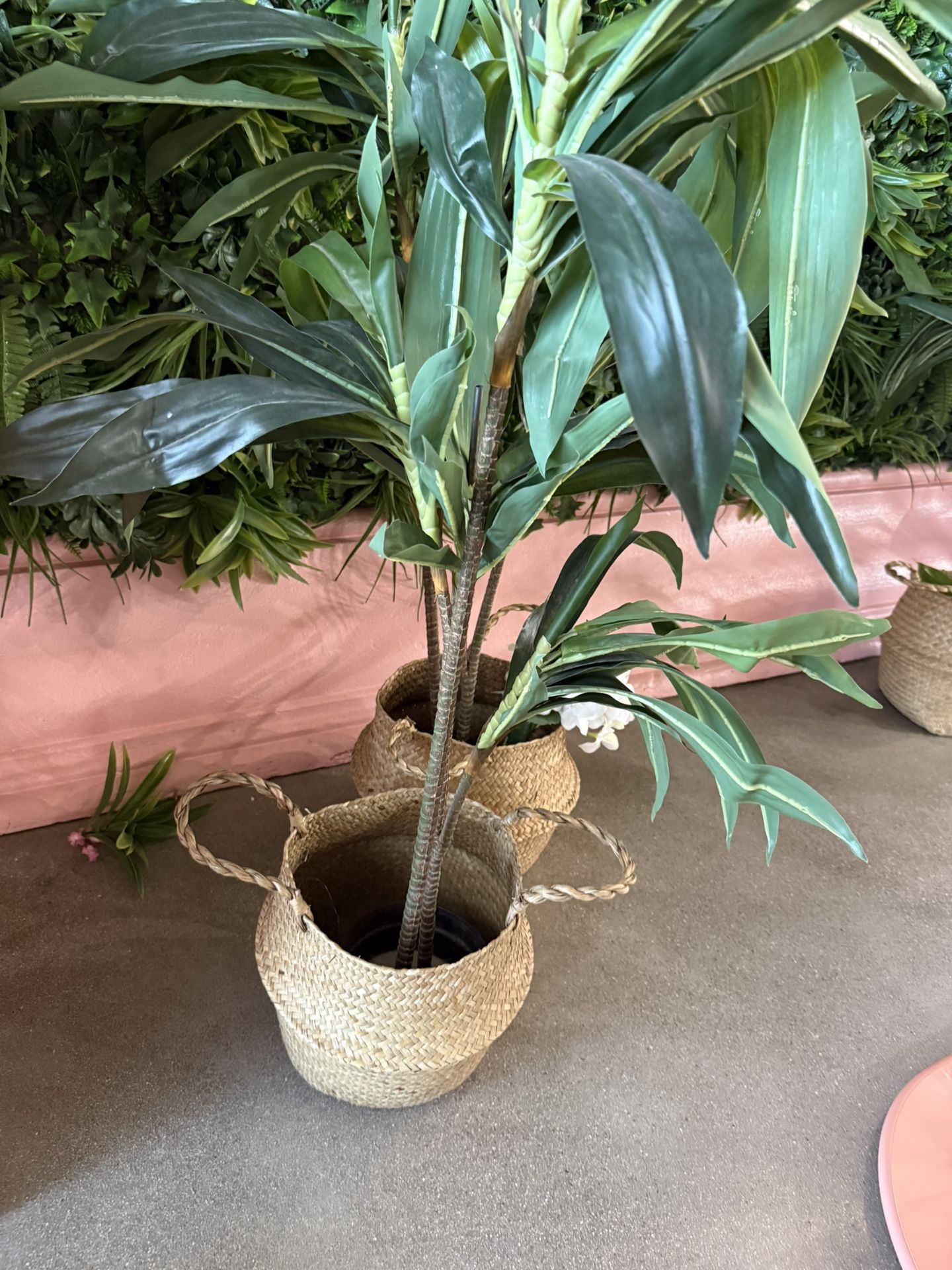 Trees With Woven Basket