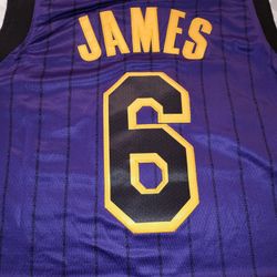 LeBron James Lakers Purple With Black And Gold Jersey! for Sale in Vero  Beach, FL - OfferUp