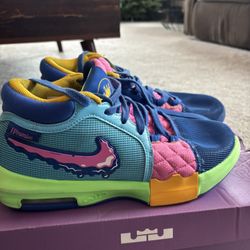 LeBron Basketball Shoes 