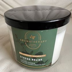 Bath & Body Works Aromatherapy Stress Relief Eucalyptus + Spearmint Candle 