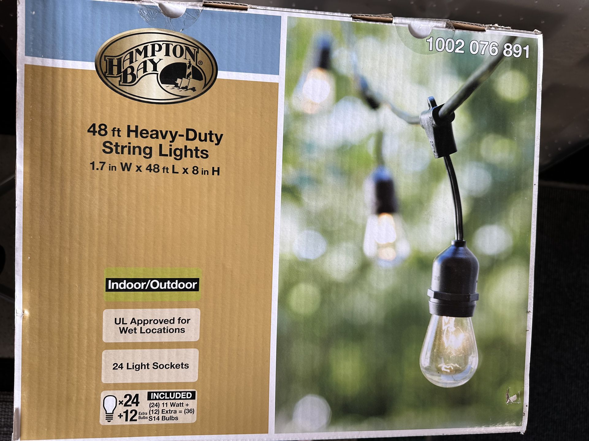 String Lights 