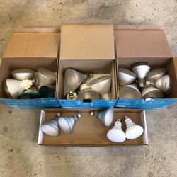 Flood Lights For Sale