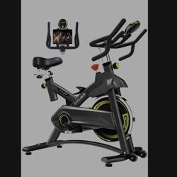 Cyclace Exercise Bike Stationary

