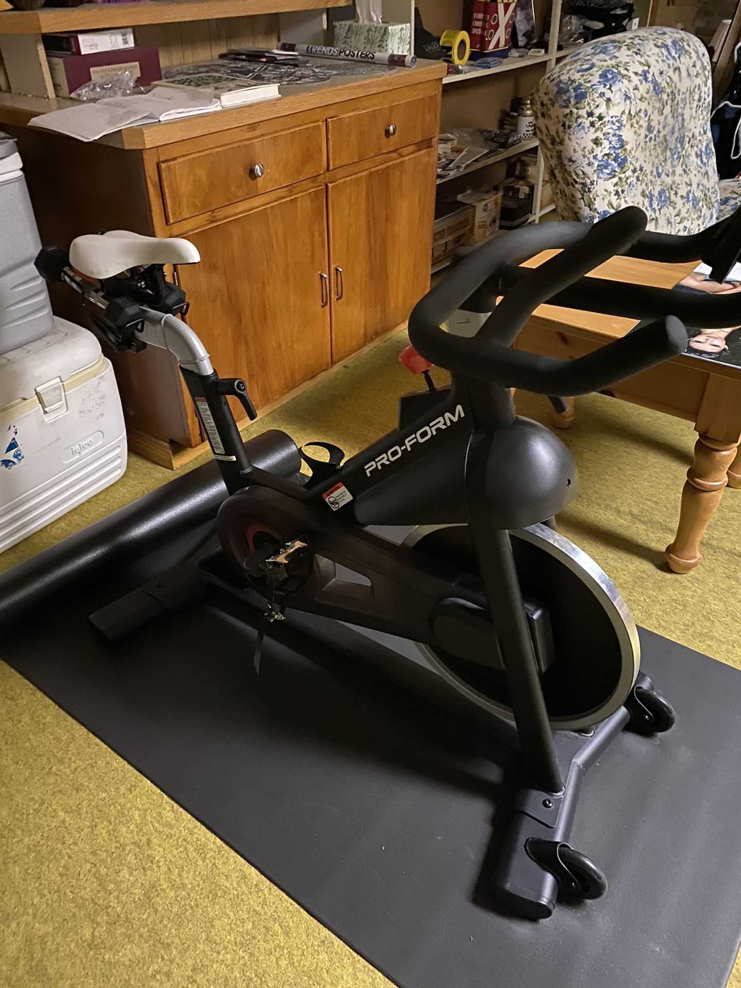 Pro-Form Exercise Bike