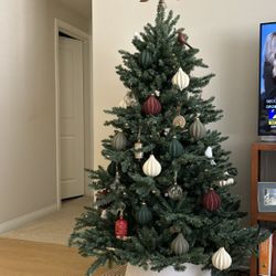 Balsam Hill 5.5 Feet Christmas Tree